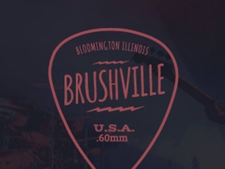 Image for Brushville